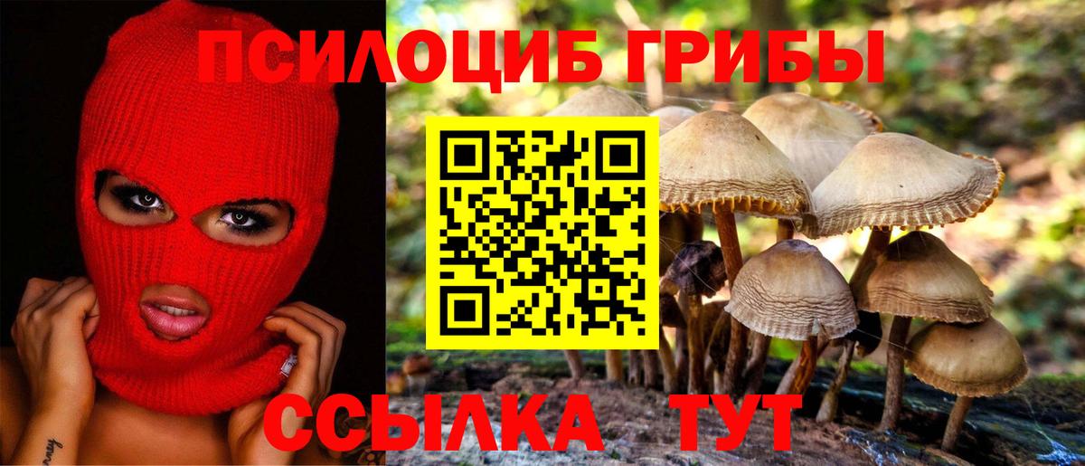 Ростов Великий  Галлюциногенные грибы прущие грибы  купить   Вход с VPN 